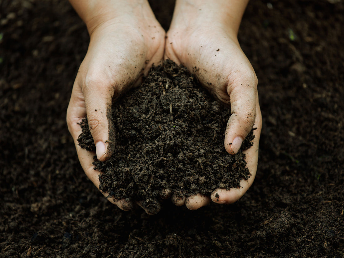 Soil Health