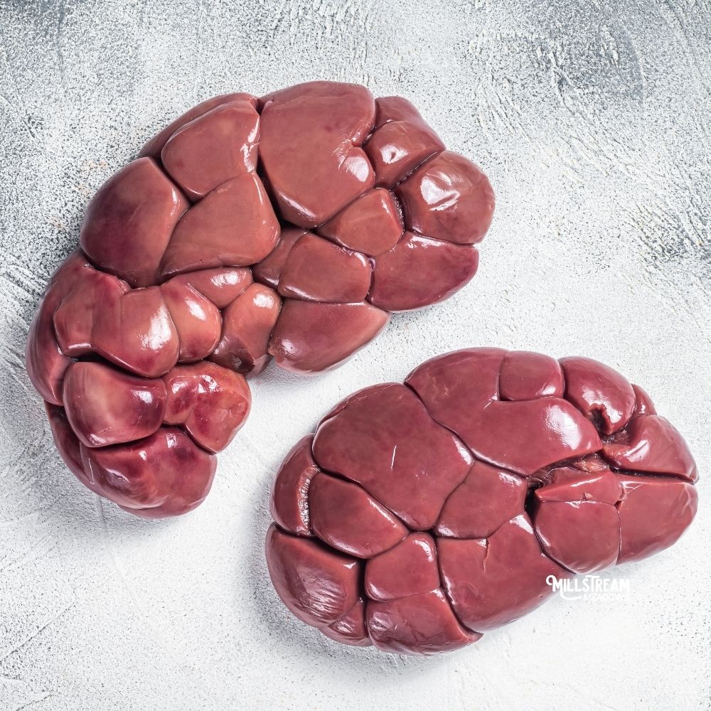 Beef Kidney