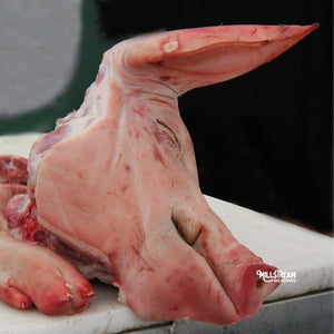 Half Pig's Head