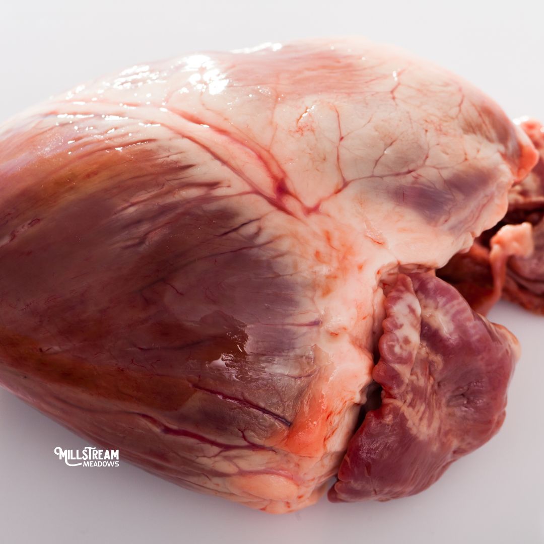 Pig Heart